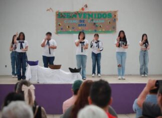 Paola Delgadillo invita a cursos de verano incluyentes en el Centro para la Cultura de la Discapacidad