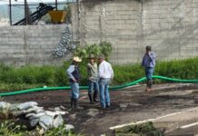 Gobierno Municipal atiende encharcamientos en colonia Benito Juárez