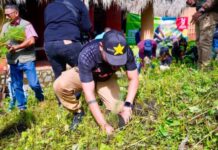 Se suma Reyes Galindo a acciones de reforestación en La Huacana