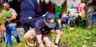 Se suma Reyes Galindo a acciones de reforestación en La Huacana