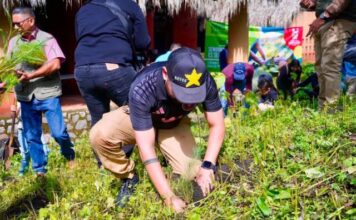 Se suma Reyes Galindo a acciones de reforestación en La Huacana