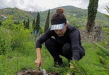 ENCABEZA DIPUTADA SANDRA ARREOLA RUIZ JORNADA DE REFORESTACIÓN