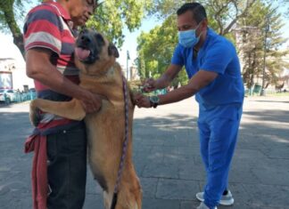 SSM exhorta a vacunar contra la rabia a los animales de compañía