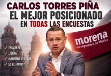 Carlos Torres Piña, el aspirante mejor posicionado en la contienda interna de Morena