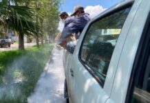 Refuerza Gobierno de Morelia acciones de fumigación en Hacienda Tiníjaro