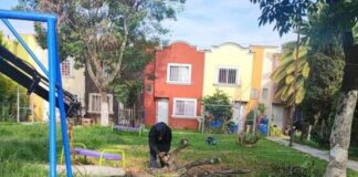 Gobierno de Morelia intensifica labores de limpieza de áreas verdes en distintos puntos de la ciudad