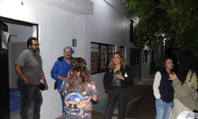 Gobierno de Morelia cuida a los gatos comunitarios con jornadas integrales de atención