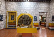 UMSNH Y SECRETARÍA DE CULTURA FEDERAL EN ESTRECHA COLABORACIÓN; PROMUEVEN EL PATRIMONIO PALEONTOLÓGICO
