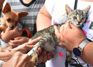 SSM llama a reforzar prevención en el hogar por el Día Mundial de las Zoonosis