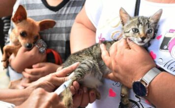 SSM llama a reforzar prevención en el hogar por el Día Mundial de las Zoonosis