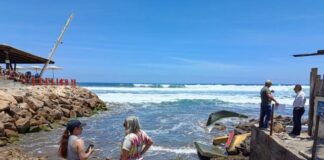 Sigue estas recomendaciones para unas vacaciones sin contratiempos