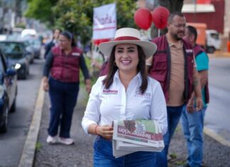 Fortalecer trabajo en territorio en defensa de la soberanía, la consigna: Gladyz Butanda tras reunión en Morena