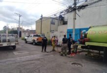 Protección Civil y Bomberos de Morelia rescata polluelos de una alcantarilla en Manatiales