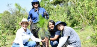 Gobierno de Morelia lleva jornada de reforestación a Tiripetío