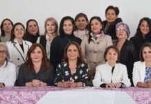 Viable, reducir el Impuesto Sobre Nómina: Fabiola Alanís
