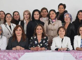 Viable, reducir el Impuesto Sobre Nómina: Fabiola Alanís