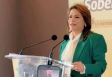 Fabiola Alanís: El PRD representa una fuerza real en Michoacán y sería muy bueno consolidar alianza progresista