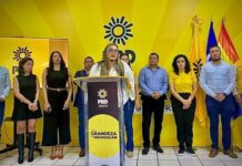 PRD Michoacán pone a la ciudadanía al centro de cualquier acuerdo rumbo a 2027: Verónica García Reyes