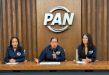 Acción Nacional cuenta con Alfonso Martínez, que es el mejor perfil para enfrentar los retos de Michoacán: Ángeles Toro Preciado