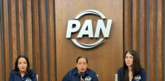 Acción Nacional cuenta con Alfonso Martínez, que es el mejor perfil para enfrentar los retos de Michoacán: Ángeles Toro Preciado