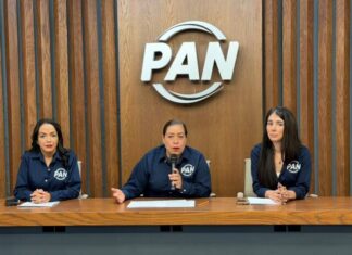 Acción Nacional cuenta con Alfonso Martínez, que es el mejor perfil para enfrentar los retos de Michoacán: Ángeles Toro Preciado