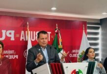 Posicionamiento de Grecia Quiroz no sería suficiente para 2027 sin estructura política: PRI