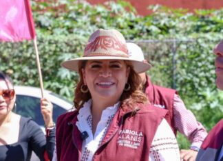 Fabiola Alanís: coordinación entre gobierno de presidenta Sheinbaum y EE.UU fortalecen industria del aguacate