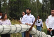Octavio Ocampo pide coordinación por la defensa de los productores michoacanos de fresa