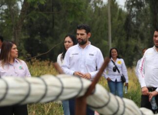 Octavio Ocampo pide coordinación por la defensa de los productores michoacanos de fresa