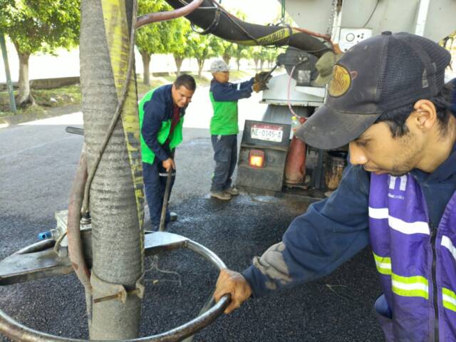 IMG-20260826-WA0029