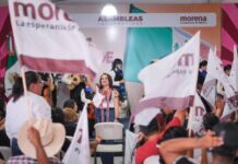 Asambleas informativas consolidan la fuerza de Morena en Michoacán: Gladyz Butanda