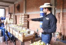 Queremos que la producción de guayaba se convierta en un motor de desarrollo sostenible para Juárez y para todo Michoacán: Octavio Ocampo