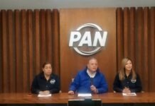 PAN aplicará filtros para evitar candidatos vinculados con la delincuencia organizada