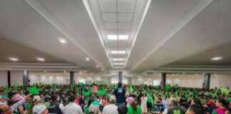 PVEM, el partido en el estado más sólido rumbo al 2027: Ernesto Núñez