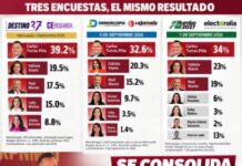 Torres Piña afianza liderazgo: tres nuevas encuestas lo confirman como puntero rumbo al 2027