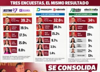 Torres Piña afianza liderazgo: tres nuevas encuestas lo confirman como puntero rumbo al 2027