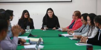 Presidenta de Asuntos Electorales, Diana Espinoza, se reúne con Consejeros del IEM