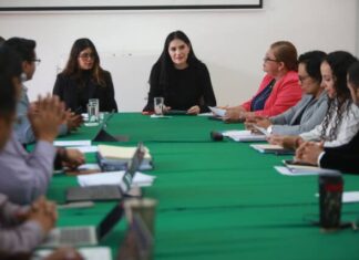 Presidenta de Asuntos Electorales, Diana Espinoza, se reúne con Consejeros del IEM