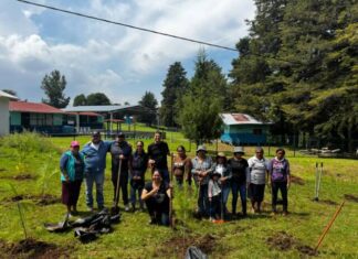 Alfonso Martínez acompaña a vecinas y vecinos de Atécuaro en jornada de reforestación