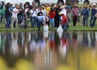 Gobierno de Morelia apoya a productores de pescado de las tenencias