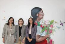 Alianzas para buenas acciones por las mujeres: Brissa Arroyo
