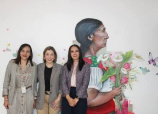 Alianzas para buenas acciones por las mujeres: Brissa Arroyo