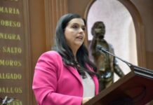 Teresita Herrera presenta iniciativa para la protección a la salud mental de niñas, niños y adolescentes en juicios familiares