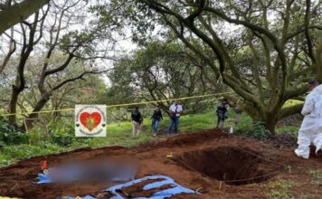 Madres buscadoras localizan cadáver en una fosa clandestina, al sur de Uruapan
