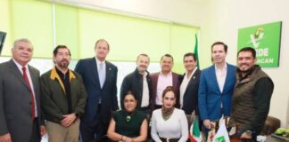 GPPVEM destaca unidad del Partido Verde para acompañar a Torres Piña