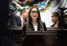 Impulsa Nalleli Pedraza reforma para crear el sistema estatal para visibilizar la realidad de las personas con discapacidad