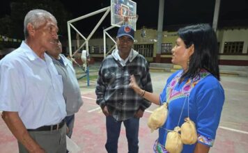 Consulta a pueblos indígenas y personas con discapacidad, paso pendiente para reformar la Ley de Educación
