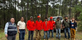 Gobierno de Morelia informa avances en atención de Sanidad Forestal