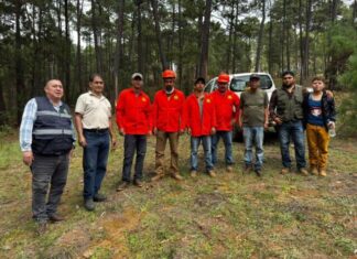 Gobierno de Morelia informa avances en atención de Sanidad Forestal