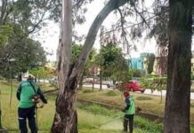 Gobierno de Morelia trabaja en el cuidado de áreas verdes y espacios públicos